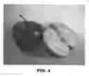 Fig. 05 - Apple Tree Named 'PREMIER STAR'