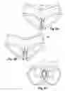 Fig. 08 - EASY ACCESS WOMEN'S PANTY