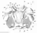 Fig. 01 - Upper body protective garment