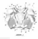 Fig. 02 - Upper body protective garment