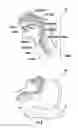 Fig. 02 - METHODS FOR USING HEAD POSITIONING PILLOWS TO OPTIMIZE RESPIRATORY TITRATION
