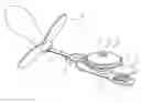 Fig. 01 - BABY'S DUMMY CLIP