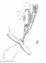 Fig. 02 - BABY'S DUMMY CLIP