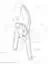 Fig. 01 - Garden shears
