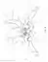 Fig. 07 - Garden shears
