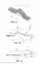Fig. 08 - FORCE-RESISTING DEVICES AND METHODS FOR STRUCTURES