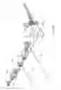 Fig. 18 - CARTON WITH PLASTIC RECLOSABLE HEADER