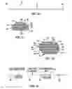 Fig. 08 - Filter and method of making