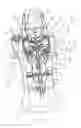 Fig. 06 - DEVICE FOR SPRAYING A FLUID USING THE AIR BLAST EFFECT