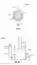 Fig. 20 - Exhaust cooler