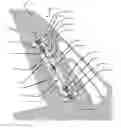 Fig. 01 - Remotely actuated wind tunnel model rudder using shape memory alloy