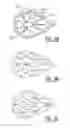 Fig. 08 - Cut Product, in Particular Diamond, with Improved Characteristics and Method for Manufacturing Such a Product