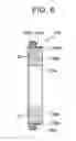 Fig. 08 - Chassis dynamometer