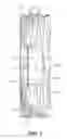 Fig. 02 - Vehicle protection method