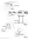 Fig. 02 - Deployable assembly