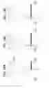 Fig. 14 - Method of manufacturing homogeneous silicon carbide single crystal with low potential of generating defects