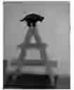 Fig. 01 - Collapsible Cat Activity Apparatus