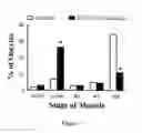 Fig. 08 - Progesterone receptor membrane component 1 (PGRMC1) as an indicator of fertility in animals
