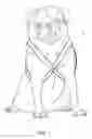 Fig. 02 - Animal leash and harness
