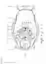 Fig. 09 - Vehicle fuel supply device