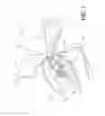 Fig. 05 - Hiccup Relief Device and Method