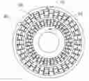 Fig. 01 - Airless tire