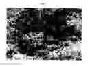 Fig. 02 - Coated membranes for enthalpy exchange and other applications