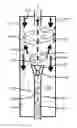 Fig. 01 - Debris chamber with helical flow path for enhanced subterranean debris removal