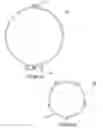 Fig. 02 - Stop Collar for Tubulars