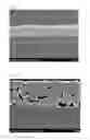 Fig. 02 - Conductive substrate comprising a metal fine particle sintered film