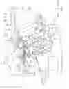 Fig. 03 - Vehicle, and harness wiring structure therefor