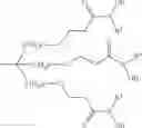 Fig. 99 - Chelating compounds and immobilized tethered chelators