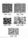 Fig. 08 - Large scale patterned growth of aligned one-dimensional nanostructures