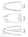 Fig. 04 - Iron