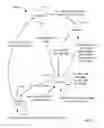Fig. 07 - Managing mobile device interactions using barcodes