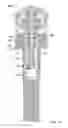 Fig. 30 - Sprinkler with variable arc and flow rate