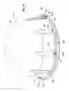 Fig. 02 - APPARATUS AND METHOD FOR QUICKLY RELEASING A DOME IN A DOMED SATELLITE ANTENNA