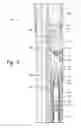 Fig. 09 - Downhole sensor tool for nuclear measurements