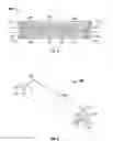 Fig. 04 - Neutron detector having enhanced absorption and bifurcated detection elements