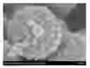 Fig. 01 - FUNCTIONAL PARTICLE WITH ROUGH-SURFACED POLYMER COATING
