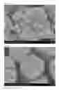 Fig. 06 - FUNCTIONAL PARTICLE WITH ROUGH-SURFACED POLYMER COATING