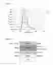 Fig. 02 - Compounds and polymers which contain substituted indenofluorene derivatives as structural unit, process for the preparation thereof, and the use thereof as electronic devices and mixtures and solutions