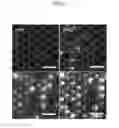 Fig. 22 - Light emission device and manufacturing method thereof