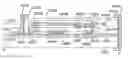 Fig. 01 - Electro-luminescence display device