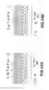 Fig. 44 - Transistor structure, manufacturing method of transistor structure, and light emitting apparatus