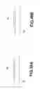Fig. 49 - Transistor structure, manufacturing method of transistor structure, and light emitting apparatus