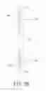 Fig. 04 - Light-emitting device