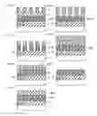 Fig. 02 - METHOD OF MANUFACTURING SEMICONDUCTOR DEVICE AND SEMICONDUCTOR DEVICE