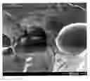 Fig. 01 - POLYMER PELLETS CONTAINING SUPERCRITICAL FLUID AND METHODS OF MAKING AND USING