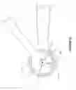 Fig. 11 - Vehicle suspension systems for seperated acceleration responses